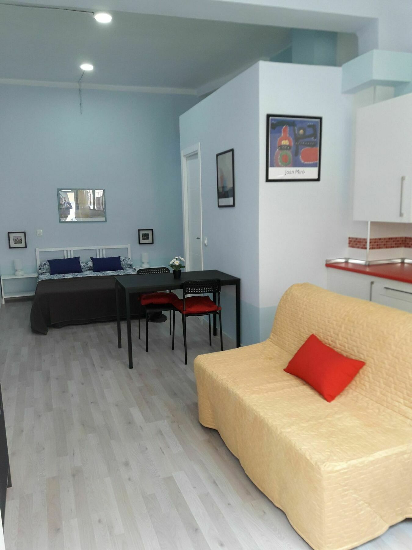 White Goose In Apartamento Madrid